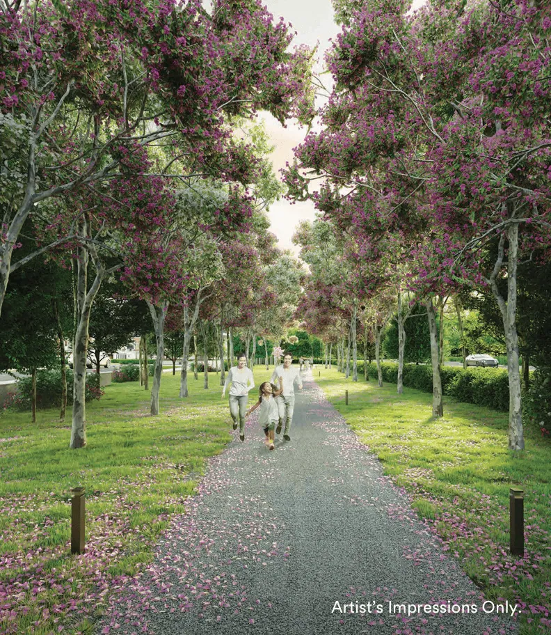 Sakura Lane